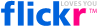 Flickr Flickr
