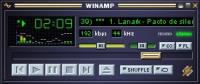 metadata in winamp - Klik voor grotere versie