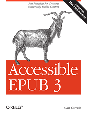 Bookomslag Accessible EPUB3