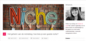 Niche-bloggen