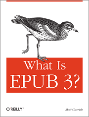 Bookomslag What is ePUB3?